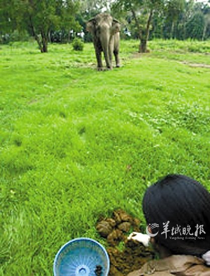 ̩���ô�����й�����a(ch��n)���� ÿ�����ۃr1100��Ԫ