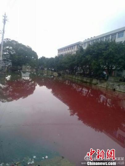 �㽭�֬F(xi��n)��Ⱦ�tɫ�� �W(w��ng)���{(di��o)٩���L����Ӿ(�D)