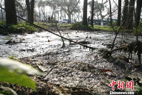 污水直排杭州西湖排污管已被封堵(圖)