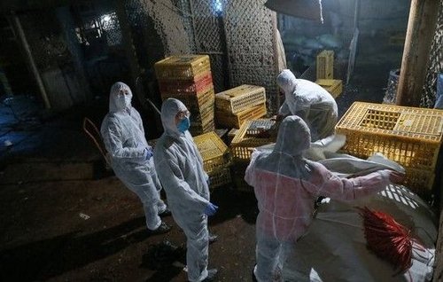 6�������Ϻ������rֹͣ���ݽ��������P(gu��n)�]�����Ј��� 