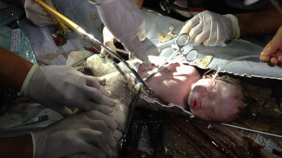 2���냺��̥�P����������ˮ��2С�r(sh��)�Ҵ�(�D)