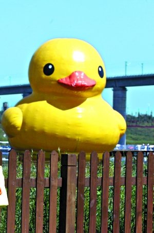 ������Y̶����G����������©�ⱻ����(�D)