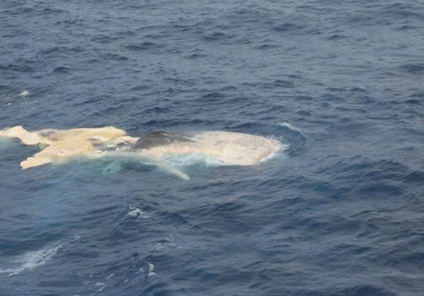 �������ʧ(li��n)�͙C������y