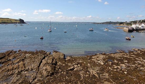 Ӣl(f)F(xin)Ͱˮĸ ֱ1_20D