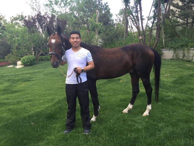 汗血寶馬再次亮相北京 種公馬是寶貝中的寶貝
